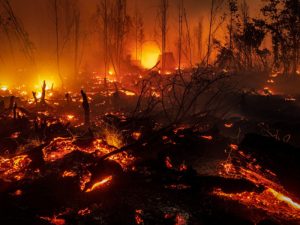 Empat Rumah Kayu di Jalan MT Haryono Balikpapan Ludes Terbakar, Petugas Sempat Kesulitan ke TKP